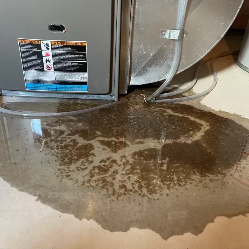 Appliance Leak Cleanup in New Lenox, IL